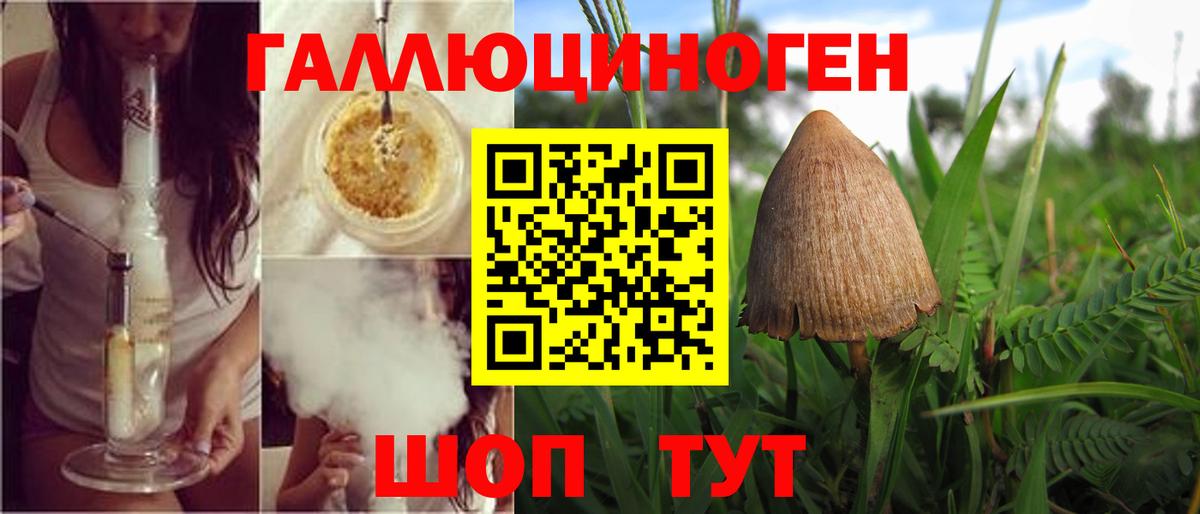 Галлюциногенные грибы мухоморы  Вход с VPN  Псилоцибиновые грибы Cubensis  Сибай 
